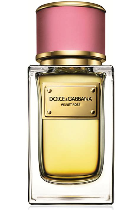 dolce gabbana perfume feminino lançamento|dolce and gabbana unisex fragrance.